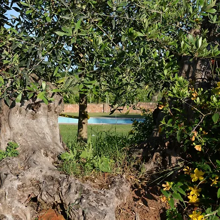 Hotell Monferrato 3*