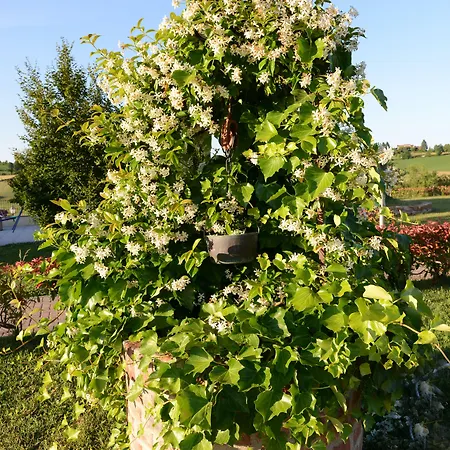 فندق Monferrato 3*