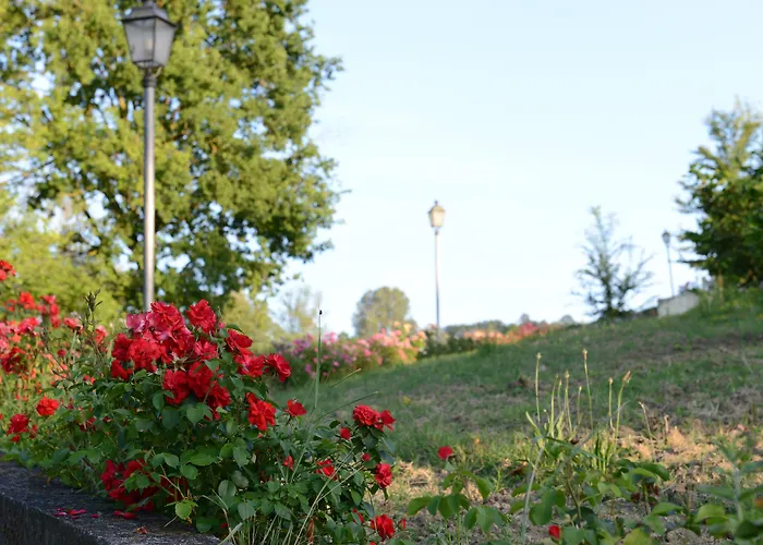 Hotel Monferrato