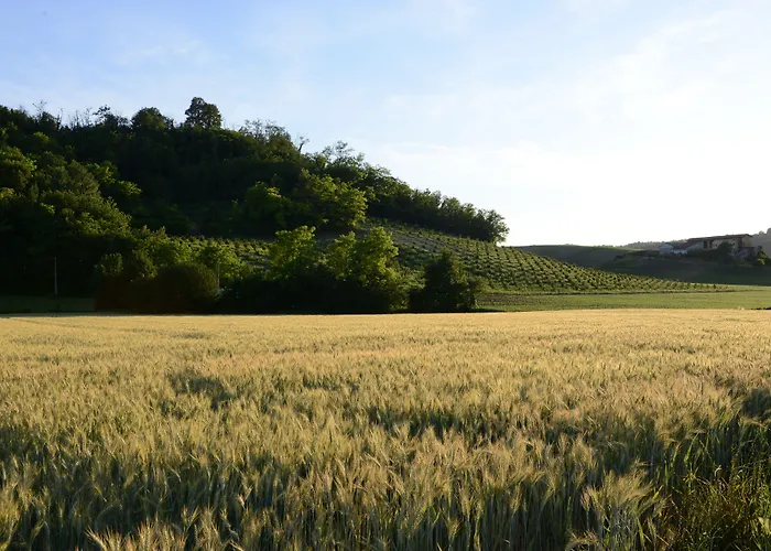 Monferrato 3*